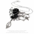 bacchanal-rose (2).jpg